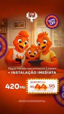 FENIX INTERNET